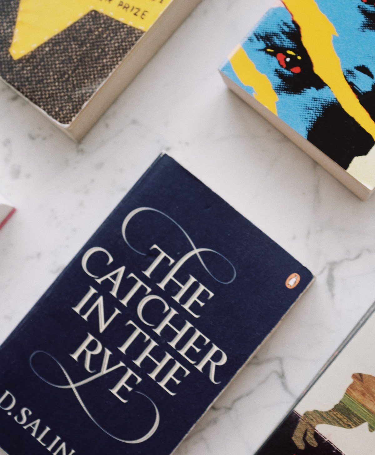 Colorful book covers laid out, showcasing striking cover design